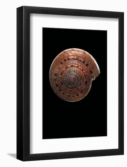 Architectonica Nobilis-Paul Starosta-Framed Photographic Print