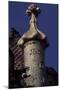 Architectural Detail from Batllo House, 1907-Antonio Gaudi-Mounted Giclee Print