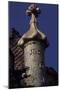 Architectural Detail from Batllo House, 1907-Antonio Gaudi-Mounted Giclee Print