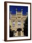 Brown Frame