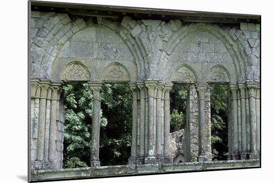 Architectural Detail from Chateau De Lucheux, Picardy, France, 12th Century-null-Mounted Giclee Print