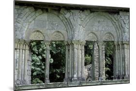 Architectural Detail from Chateau De Lucheux, Picardy, France, 12th Century-null-Mounted Giclee Print