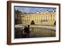 Brown Frame