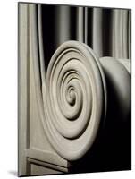 Architectural Detail from Interior of Laurentian Library-null-Mounted Giclee Print