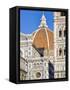 Architectural Detail of a Cathedral, Duomo Santa Maria Del Fiore, Florence, Tuscany, Italy-null-Framed Stretched Canvas