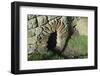 Architectural Detail of a Culvert Exit Approximately 30 Cm High-James Emmerson-Framed Photographic Print