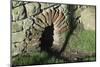 Architectural Detail of a Culvert Exit Approximately 30 Cm High-James Emmerson-Mounted Photographic Print