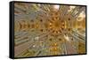 Architectural detail of Sagrada Familia ceiling, Barcelona, Catalonia, Spain-null-Framed Stretched Canvas