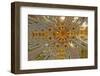 Architectural detail of Sagrada Familia ceiling, Barcelona, Catalonia, Spain-null-Framed Photographic Print