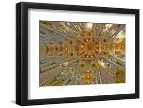 Architectural detail of Sagrada Familia ceiling, Barcelona, Catalonia, Spain-null-Framed Photographic Print