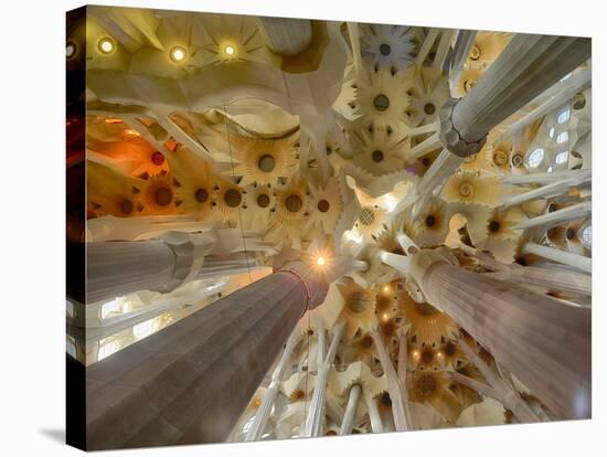 Architectural detail of Sagrada Familia ceiling, Barcelona, Catalonia, Spain-null-Stretched Canvas