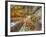 Architectural detail of Sagrada Familia ceiling, Barcelona, Catalonia, Spain-null-Framed Photographic Print