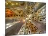 Architectural detail of Sagrada Familia ceiling, Barcelona, Catalonia, Spain-null-Mounted Photographic Print