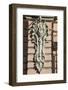 Architectural Detail, St. Petersburg, Russia, Europe-Michael Runkel-Framed Photographic Print