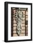 Architectural Detail, St. Petersburg, Russia, Europe-Michael Runkel-Framed Photographic Print