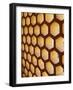 Architectural details, Amber Fort, Jaipur, India-Adam Jones-Framed Photographic Print