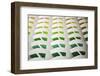 Architectural Details of the Colourful Balconies in the Atrium of the 7 Star Burj Al Arab Hotel-Cahir Davitt-Framed Photographic Print