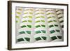 Architectural Details of the Colourful Balconies in the Atrium of the 7 Star Burj Al Arab Hotel-Cahir Davitt-Framed Photographic Print