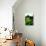 Architectural Digest-null-Premium Photographic Print displayed on a wall
