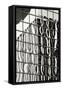 Architectural Glass BW-Douglas Taylor-Framed Stretched Canvas