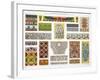 Architectural Ornaments, C19th Century-null-Framed Giclee Print