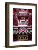 Architectural Roof Detail of the Buddha Tooth Relic Temple and Museum, South Bridge Road-Cahir Davitt-Framed Photographic Print