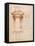 Architectural Study-Michelangelo Buonarroti-Framed Stretched Canvas