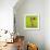 Architecture 20-Daniel Cacouault-Framed Giclee Print displayed on a wall