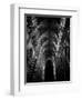 Architecture 3-Design Fabrikken-Framed Photographic Print