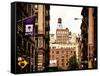Architecture and Buildings, Greenwich Village, Nyu Flag, Manhattan, New York City, US, Vintage-Philippe Hugonnard-Framed Stretched Canvas