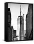 Architecture and Buildings, One World Trade Center (1WTC), Manhattan, New York, USA-Philippe Hugonnard-Framed Stretched Canvas