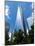 Architecture and Buildings, the One World Trade Center (1Wtc), Manhattan, New York, US, USA-Philippe Hugonnard-Mounted Photographic Print