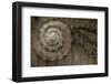 Architecture Detail in Sepia V-Laura DeNardo-Framed Photographic Print