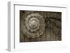 Architecture Detail in Sepia V-Laura DeNardo-Framed Photographic Print