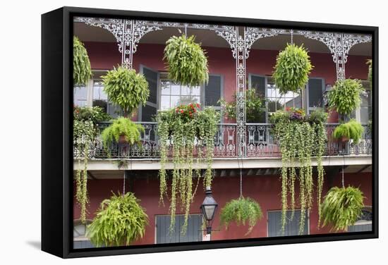 Architecture, French Quarter, New Orleans, Louisiana, USA-Jamie & Judy Wild-Framed Stretched Canvas