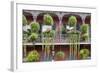 Architecture, French Quarter, New Orleans, Louisiana, USA-Jamie & Judy Wild-Framed Photographic Print