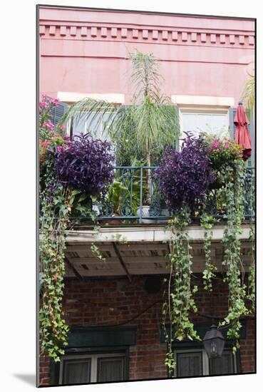 Architecture, French Quarter, New Orleans, Louisiana, USA-Jamie & Judy Wild-Mounted Photographic Print