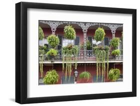 Architecture, French Quarter, New Orleans, Louisiana, USA-Jamie & Judy Wild-Framed Photographic Print