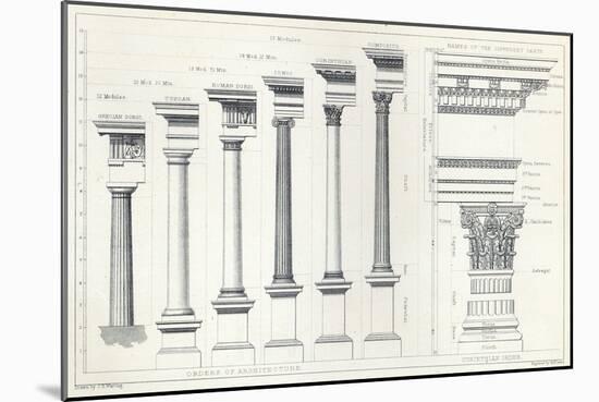 Architecture I: Orders of Architecture, engraved by Charles Lawrie-John Burley Waring-Mounted Giclee Print