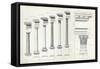 Architecture I: Orders of Architecture, engraved by Charles Lawrie-John Burley Waring-Framed Stretched Canvas