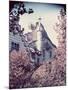 Architecture in Park Guell Designed by Antonio Gaudi-Nat Farbman-Mounted Photographic Print