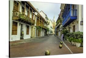 Architecture in the Plaza de San Pedro Claver, Cartagena, Colombia-Jerry Ginsberg-Stretched Canvas