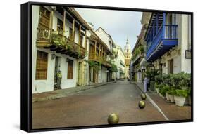 Architecture in the Plaza de San Pedro Claver, Cartagena, Colombia-Jerry Ginsberg-Framed Stretched Canvas