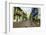 Architecture in the Plaza de San Pedro Claver, Cartagena, Colombia-Jerry Ginsberg-Framed Photographic Print