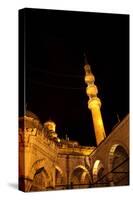 Architecture, night, mosque, minaret-Nora Frei-Stretched Canvas