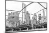 Architecture of Chicago, Jay Pritzker Pavilion and Skyline, Monochrome-DiversityStudio-Mounted Photographic Print