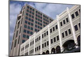 Architecture of Tallahassee-benkrut-Mounted Photographic Print