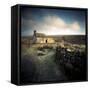 Archmiller-Craig Roberts-Framed Stretched Canvas