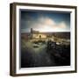 Archmiller-Craig Roberts-Framed Photographic Print