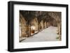 Archway at Mission San Jose-Larry Ditto-Framed Photographic Print